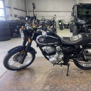 Disponibles Ahora: Motocicletas W230 (ABS) 2025 Nuevas en Stock - Product Image 1