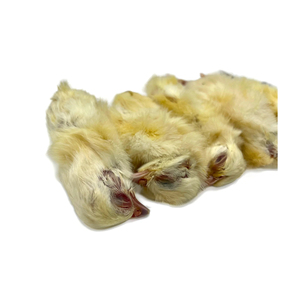 Poussins d'un Jour Congelés de Qualité Supérieure Soigneusement Conservés pour l'Alimentation du Bétail et de la Faune Sauvage - Product Image 4