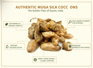 Cocons de soie de mûrier biologique, soie naturelle de qualité, matière première, fabrication artisanale durable, fil recyclé de luxe, filature en vrac - Product Image 6