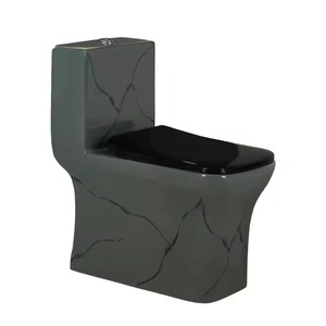 Armoire sanitaire décorative-Toilette monobloc à chasse d'eau siphonique, ensemble de cuvette de toilette en céramique montée au sol - Product Image 5
