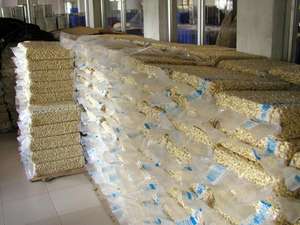 Anacardos crudos W180 frescos de alta calidad bien procesados con riqueza de nutrientes para la opción del mercado de alimentos - Product Image 3