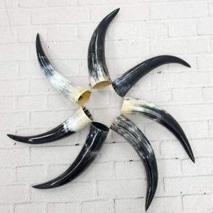 Corne à boire viking en buffle 100% naturelle avec corne de taille unique pour la bière, l'eau, de la meilleure qualité, grossiste d'Inde - Product Image 1
