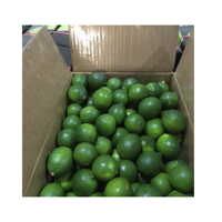 Citrons vietnamiens de haute qualité: fraîchement cueillis et livrés à votre porte