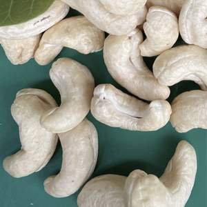 Vietnam usine noix de cajou sac sous vide Santigo Vietnam W320 bonne qualité client OEM ODM exigence - Product Image 1