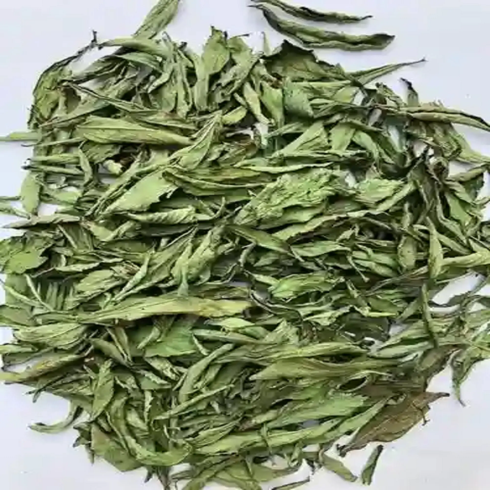High Quantity Wholesale Herbal Tea Dried Stevia Rebaudiana Leaf Chinese Herb For Sale By Indian Exporter With Private Labelling