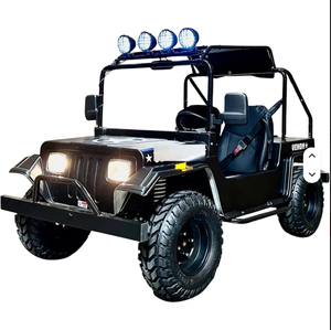 NOUVEAU ORIGINAL Mini Trail Rider 3000W Voiturette de golf électrique 60V 32Ah Batterie Transmission automatique - Product Image 1