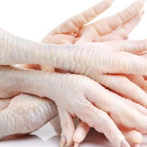ตีนไก่ / ตีนไก่แช่แข็งจากบราซิล / ปีกไก่และเท้าไก่สด พร้อมส่งออก - Product Image 5