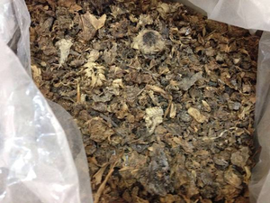 Pulpe d'ananas séchée fermentée pour l'alimentation animale Akina - Product Image 2