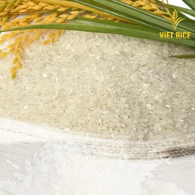 중간 쌀 5% 깨진 고급 영양 국가 품질 인증 사전 생산 공정-Whatsapp (+ 84)325987346