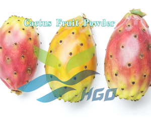 HGO Fournisseur direct d'usine de poudre de fruit de cactus naturel pur, spécification de qualité alimentaire, poudre de fruit, poudre de fruit ou de légume - Product Image 2