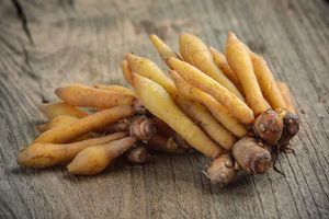 รากนิ้วคุณภาพสูงจากเวียดนามส่งออก - Product Image 6