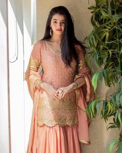 Royal export lance un nouveau vêtement de soirée de créateur, look lourd, costume sharara de travail de broderie, nouvelle couleur avec fond et du - Product Image 4