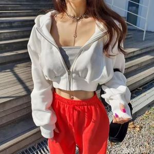 Fabricación de logotipo personalizado Gym Sport Wear 2023 Winter Fleece Sudadera de algodón de alta calidad Sudadera con capucha recortada para mujer - Product Image 1