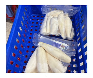 เครื่องบรรจุมันสำปะหลังแช่แข็งที่ปอกเปลือกทั้งหมดสำหรับมันสำปะหลังแช่แข็งเพื่อความสดชื่น (manioc) - Product Image 2