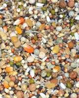 Mélange d'aliments naturels pour pigeons |   Aliment pour oiseaux à haute teneur en protéines, écologique, nettoyé de la poussière, pour pigeons de course et d'élevage |   12-18% brut