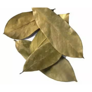 100% ธรรมชาติ graviola ชา guanabana tisane ทุเรียนเทศแห้งใบชา - Product Image 2