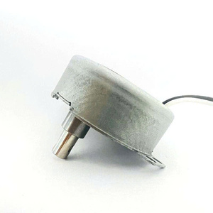 220V <b>Micro</b> Synchronous Motor Durable Permanent Magnet Type Engineered for Stable Energy Saving Low Noise Continuous Operation - Product Image 2