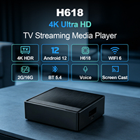 Lemon TV Mini Android 12.0 TV Box Allwinner H618 2GB 16GB 4K 5G WIFI6 BT 5.4 IATV OS Logotipo Personalizado 1 unidad MOQ TV CMS App Push Factory