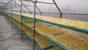 Mayorista de mango de secado suave con sede en Vietnam Cubo conservado natural Fruta en rodajas Envasado al vacío a granel Disponible What.App84972678053 - Product Image 3