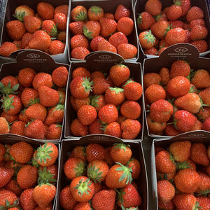 สตรอว์เบอร์รีออร์แกนิคเกรดพรีเมียมสดใหม่ 10 กก. จากฝรั่งเศส - Product Image 1