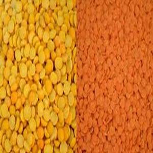 Lentejas Amarillas Moong Dal Listas para Exportar a Precio de Mayoreo - Product Image 4