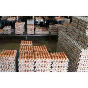 ไข่ไก่แบบมีโต๊ะสำหรับฟาร์มแบบอินทรีย์ไข่สีน้ำตาลและสีขาว - Product Image 5