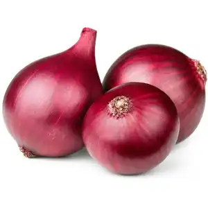 Organic fresh red onion with mesh bag package For sale