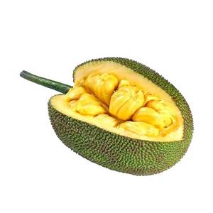 Fruit de jacquier frais de qualité juteux et naturel de Thaïlande, idéal pour les régimes végétaliens et sans gluten. - Product Image 5