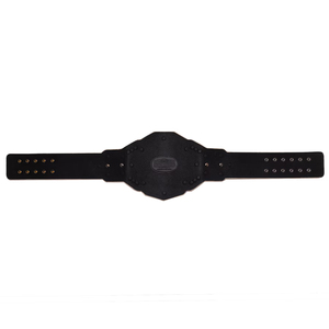 Lutte boxe MMA titre ceintures WWE lutte personnalisé championnat ceintures haute qualité WWF championnat ceinture adulte Ronpex - Product Image 6