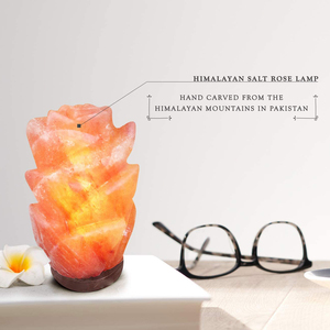 Lámpara de sal del Himalaya rosa de alta calidad, piedra de roca de cristal Natural tallada a mano, buena venta, decoración del hogar, servicio OEM - Product Image 3