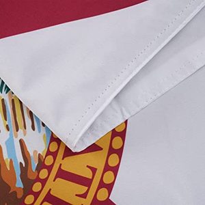 Drapeau de l'État de la Floride 3x5 pieds pour extérieur, drapeaux double face à 3 couches, en polyester avec 2 œillets en laiton pour l'extérieur/l'intérieur (Floride) - Product Image 5
