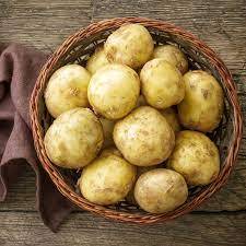 2025 Holland di patate del raccolto