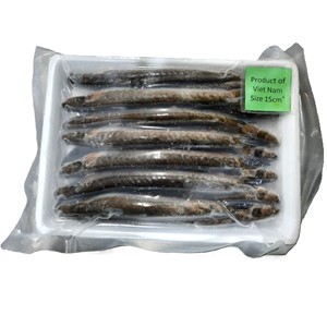 Envase al vacío BQF de pescado de gobio redondo entero congelado de origen salvaje de Vietnam para compradores de mariscos al por mayor - Product Image 1
