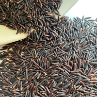 Riz noir sauvage biologique, durée de conservation de 24 mois, non-OGM, sans pesticides, valeur nutritive élevée, par Tracy Cao