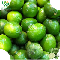 Lime fraîche sans pépins bon prix du Viet Nam-Nouvelle récolte de lime fraîche/citron vert