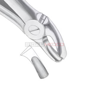 คีมถอนฟันที่มีฟันกรามบน18ซี่มีขนาดแตกต่างกันขายส่ง - Product Image 3