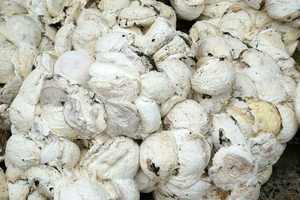 Copas de Látex de Caucho Natural con Diseño de Patrón Líquido, Grado General - Product Image 2