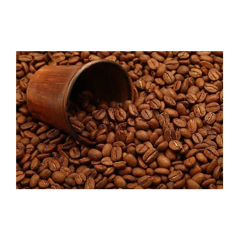 Alta qualità tostato chicco di caffè Robusta migliori chicchi di caffè torrefatto a basso costo produttore di esportazioni in tutto il mondo