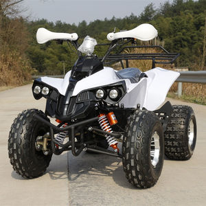 Quad électrique AESs INTs Sun Cheap 1000W à transmission par arbre, 48V, rapide, pour adultes - Product Image 1