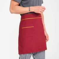 Uniforme de Chef Unisex de Alta Calidad Premium, Talla Grande, Tela Impermeable, Transpirable, Resistente al Viento, Antiarrugas, de Secado Rápido, en Varios Colores