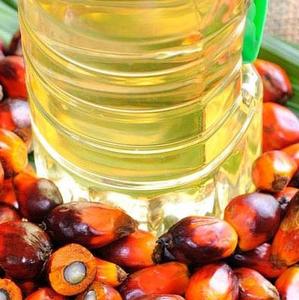 Aceite de Palma RBD CP10 Premium para freír certificado de exportación a granel disponible-una categoría Premium de aceite vegetal - Product Image 5