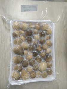 เห็ดฟางแช่แข็งสำหรับคุกกี้เห็ดในเวียดนาม - Product Image 3
