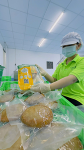 เค้กปลาจิ้งจกแช่แข็งง่ายต่อการเตรียมต้นกำเนิดจากเวียดนามสำหรับซูเปอร์มาร์เก็ตขายส่ง - Product Image 6