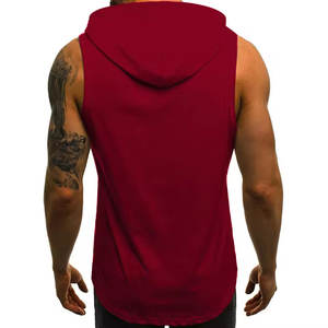 Sudaderas con capucha de gimnasio para hombres 2025, tela de la mejor calidad, ligero y elegante cuello con capucha, ropa Regular 100% algodón básico, mezcla de algodón - Product Image 2