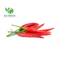 Piment rouge/vert surgelé LQF de haute qualité, piment fort, première qualité, prêt à l'emploi, du Vietnam, herbes et épices simples