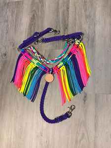 Collier de poitrine et tête à franges arc-en-ciel ensemble de punaises de cheval équestre en cuir de vachette véritable ensemble de punaises de cheval de luxe - Product Image 5