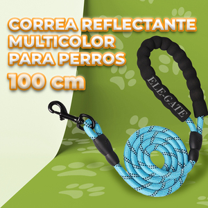 Guinzaglio per Cani di Lusso Solido e Resistente da 1 Metro, con Manico Imbottito in Nylon, Sgancio Rapido, Funzionalità Personalizzabili, Stile Classico per Collare per Cani - Product Image 1