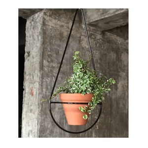 Jardinière murale en fer pour jardinage vertical, intérieur/extérieur, décorative, élégante, gain de place - Product Image 3