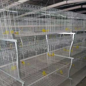 Hot Sale Zhongnuo ZN3-96 3-Tier Type 4-Accurate Iron Steel <b>Chicken</b> Layer Type <b>Cage</b> Long Service Life New Condition Poultry - Product Image 4