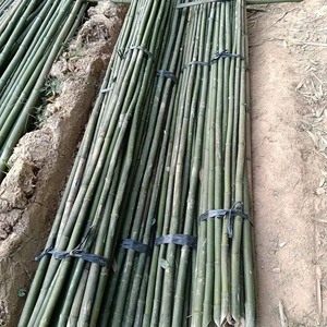 Productos de bambú respetuosos con el medio ambiente para la Agricultura y procedentes de Vietnam - Product Image 6